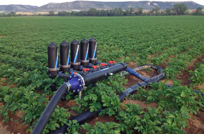El riego por goteo en cultivo de patata se presenta como una alternativa más rentable, según Azud.
