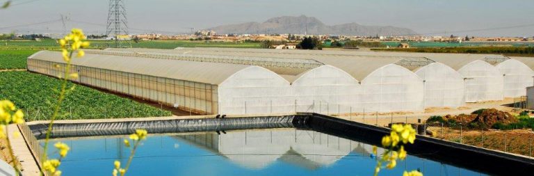 Proyecto variedades vegetales España