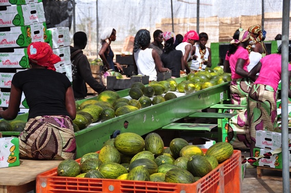 Proyecto integral en Senegal