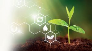 Uso de sensores para mejorar la eficiencia del fertirriego