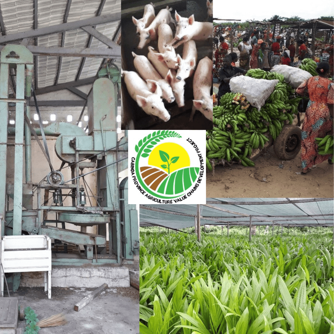 desarrollo-de-cadenas-de-valor-agricolas