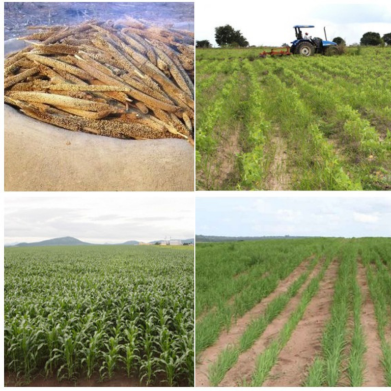 materias-primas-esenciales