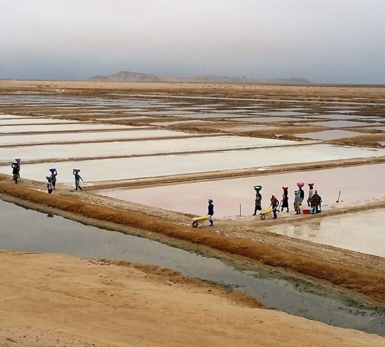 consultoria-salinas-angola