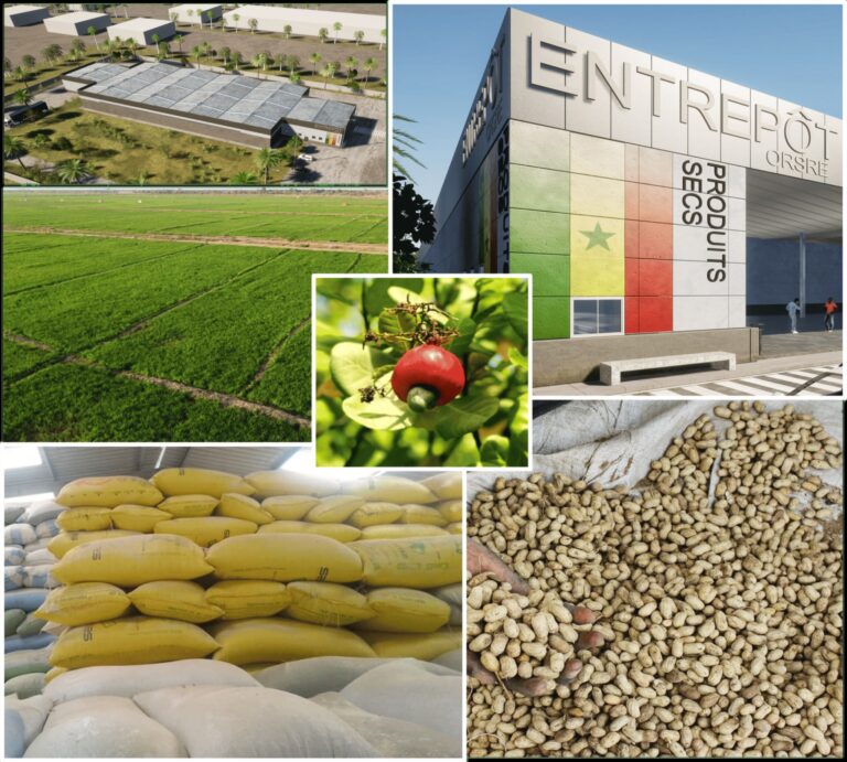 almacenes-agricolas-senegal